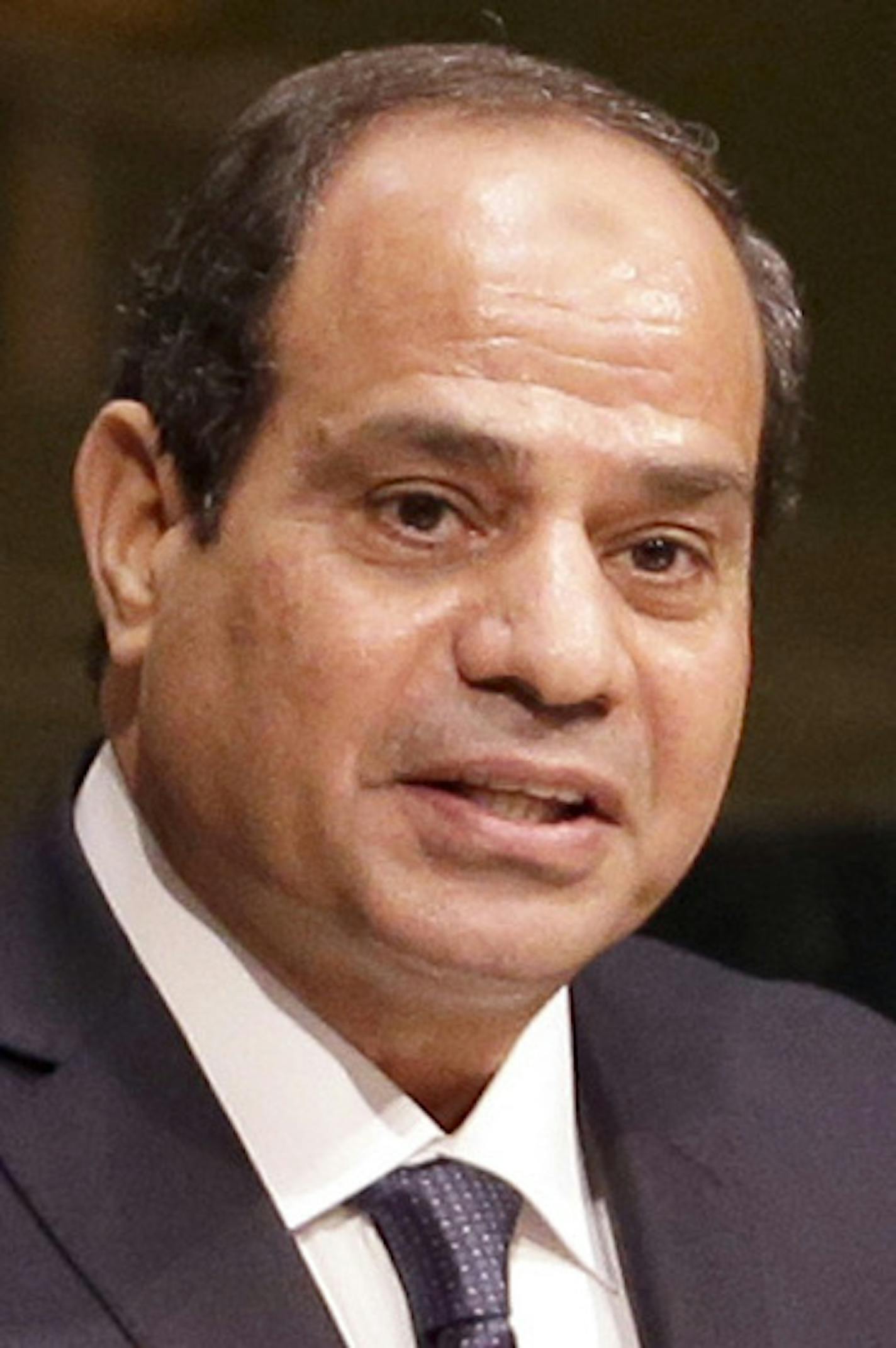 Egyptian President Abdel-Fattah el-Sissi addresses the Sustainable Development Summit 2015, Friday, Sept. 25, 2015, at United Nations headquarters. (AP Photo/Mary Altaffer) ORG XMIT: MIN2015110611441721