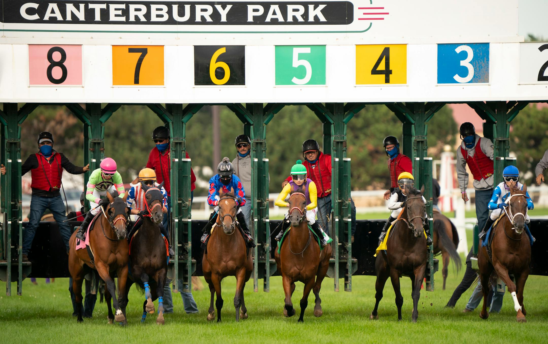 Horses left the gate at Canterbury Park during a race last summer.