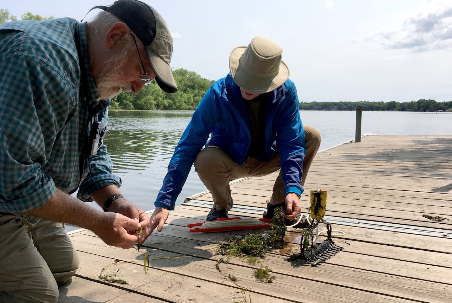 Jeff Richards, left, and Mike Hughes sifted through plants from Burnsville&#x2019;s Crystal Lake on Saturday in search of starry stonewort and other invasive species.