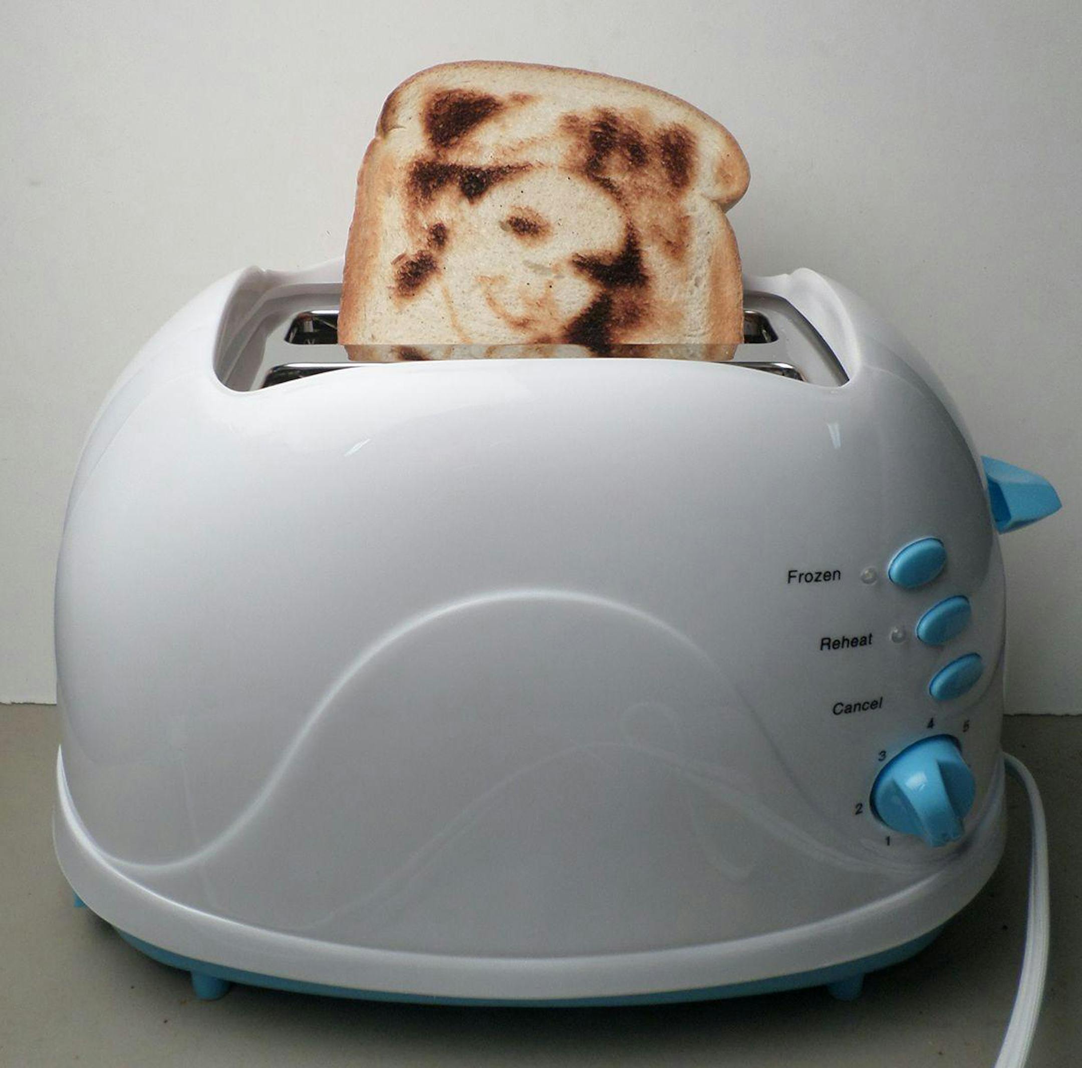 Vermont Novelty Toaster Corporation's Selfie Toaster