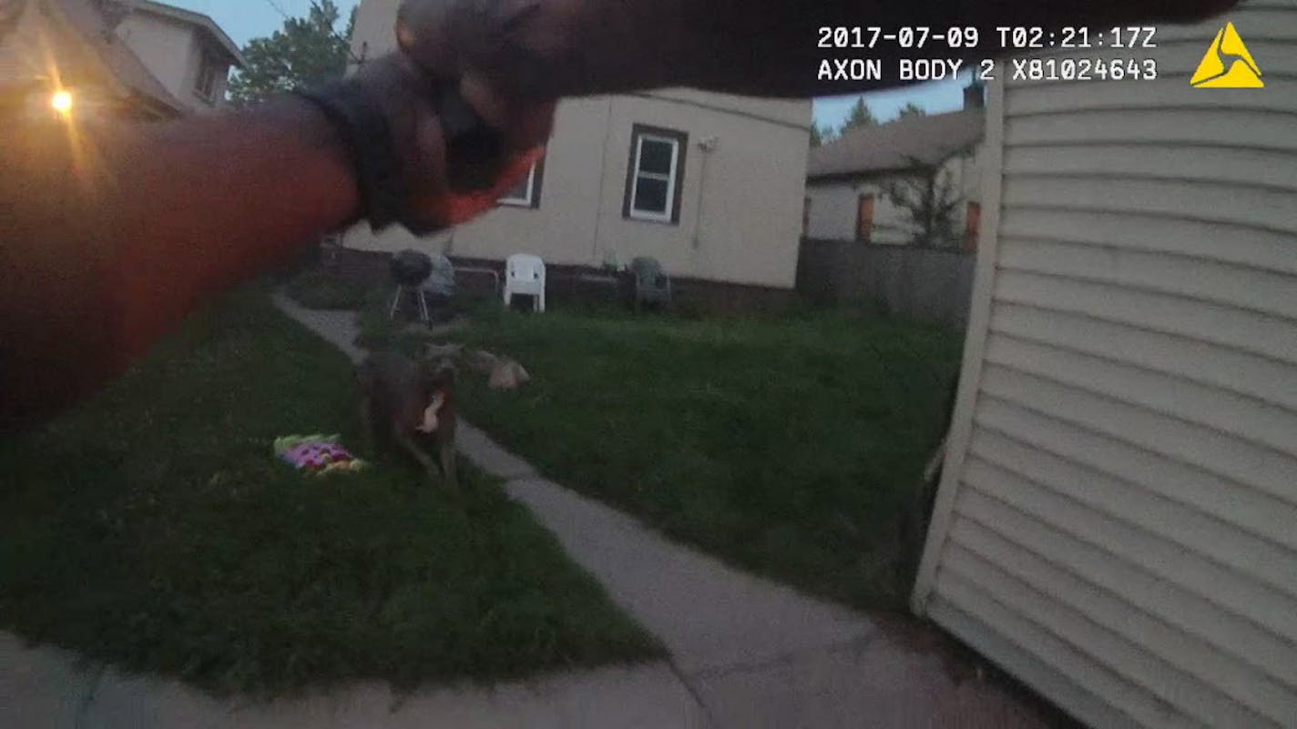 The police officer's body camera presented this view of his encounter with one of two dogs in a north Minneapolis yard. He shot both.