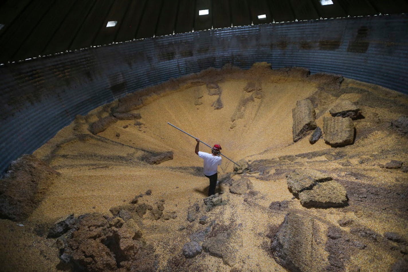 Jack Buttenhoff, 17, broke up chunks of moldy corn in a maximum of four feet of corn in a grain bin on Ted Salonek's farm on Thursday, June 4, 2015 in Montrose, Minn. Buttenhoff is a farm hand on the farm and was wearing a gas mask to protect him from breathing in mold spores. In 2010, Ted Salonek's father, Theodore Salonek Sr., died in a grain bin accident at a different farm location. Since then Ted Jr. is more careful when clearing blocked grain bins. ] RENEE JONES SCHNEIDER � reneejones@star