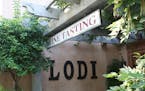 The Lodi Appellation was recognized in 1986. Today 85 wineries are in the Lodi region with 70 tasting rooms. (Mary Ann Anderson/TNS) ORG XMIT: 1265930