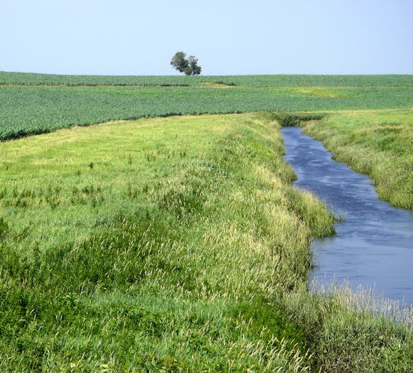 Gov. Mark Dayton's decision last week to exclude private ditches from buffer strip mapping was an obvious setback to his hard-fought 2015 water-qualit