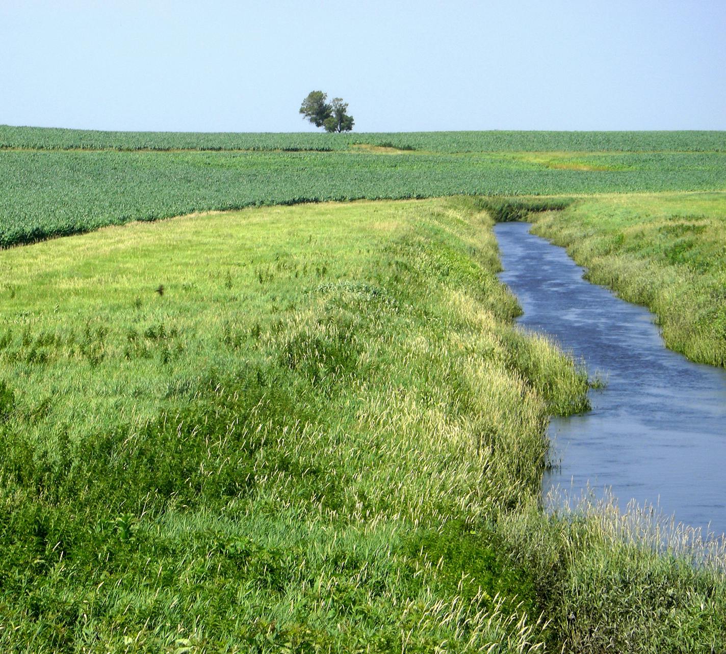 Gov. Mark Dayton's decision last week to exclude private ditches from buffer strip mapping was an obvious setback to his hard-fought 2015 water-quality law.