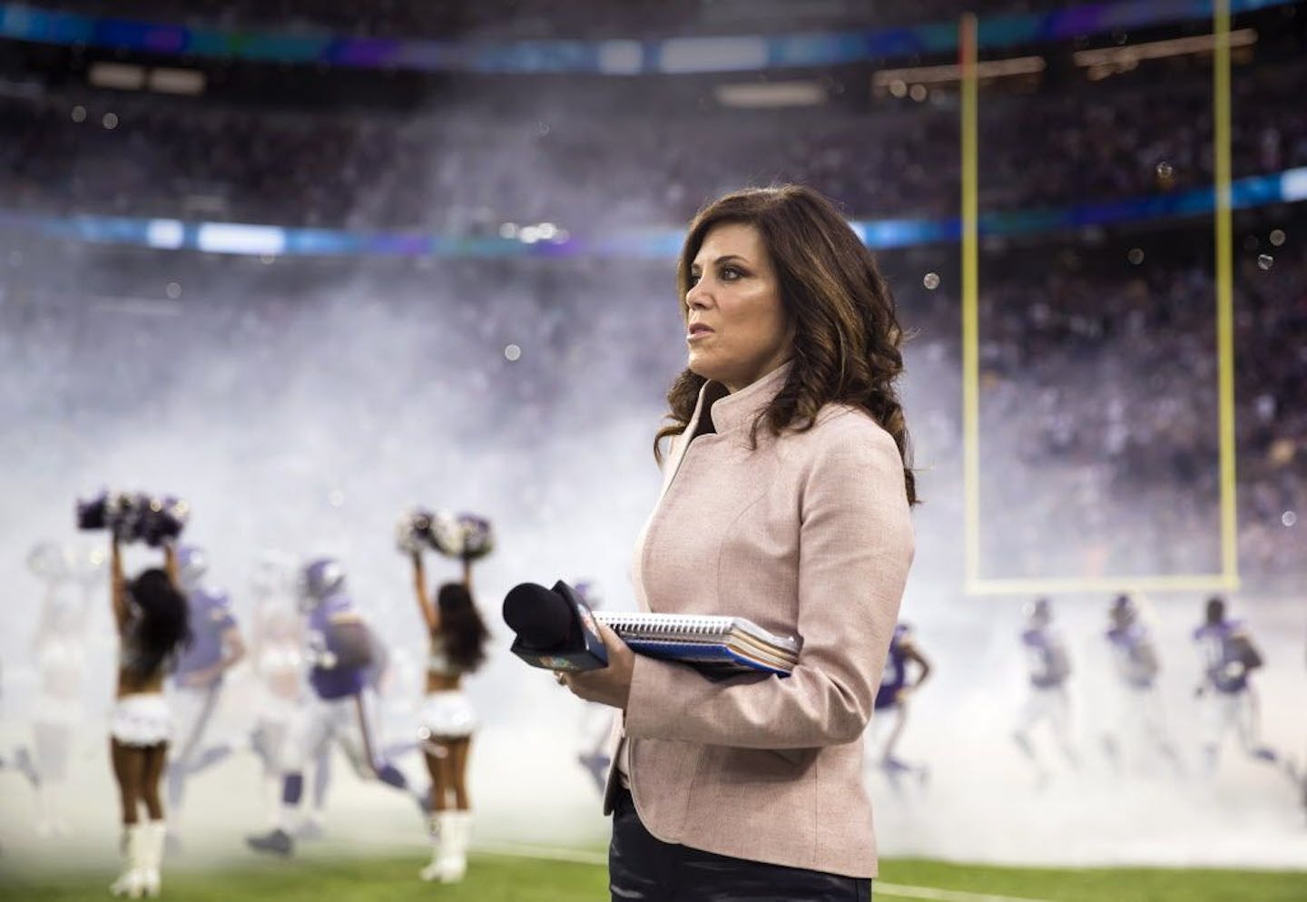 Minnesota s Michele Tafoya A sports reporter in a man s world