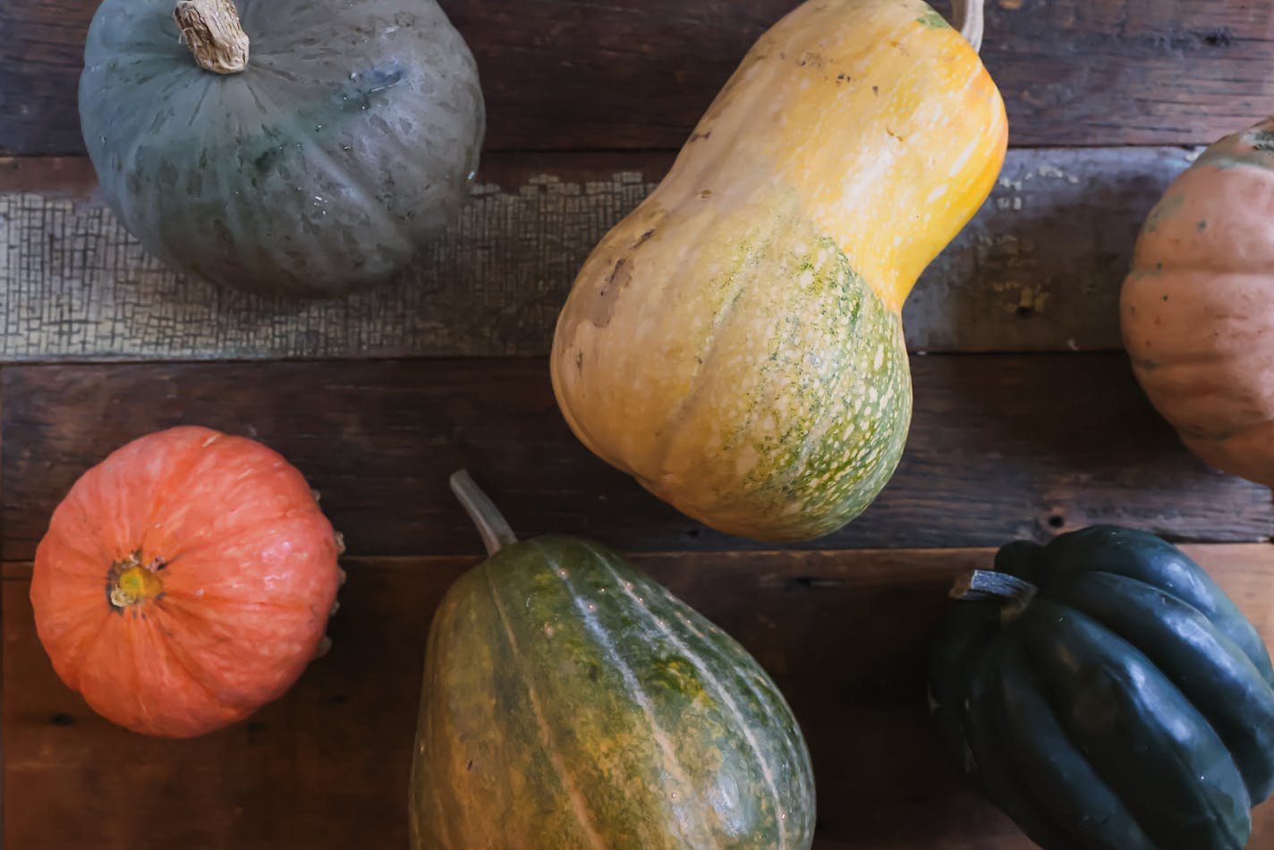 Top: Kabocha, butternut, Long Island Cheese squash. Bottom: Rouge Vif d'Etampes Pumpkins, Green Hubbard Squash and acorn squash. Recipes by Beth Dooley, photo by Ashley Moyna Schwickert, Special to the Star Tribune