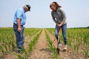 John Peterson, who uses no-till and cover crops in his corn and soybean fields, and Anna Teeter, a conservation agronomist with Cargill, look over the