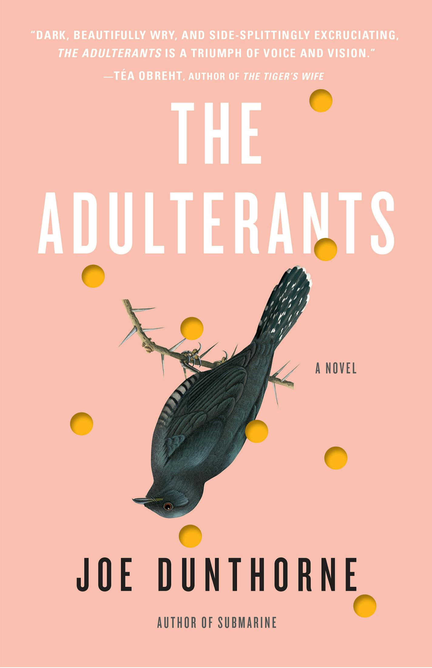 The Adulterants, by Joe Dunthorne