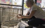 Co-owner Betty VanGorder fixes a bird cage at her store, the Pet Garage on Friday, March 8 in Maple Grove, Minn. ]
TONY SAUNDERS &#xb0; anthony.saunde
