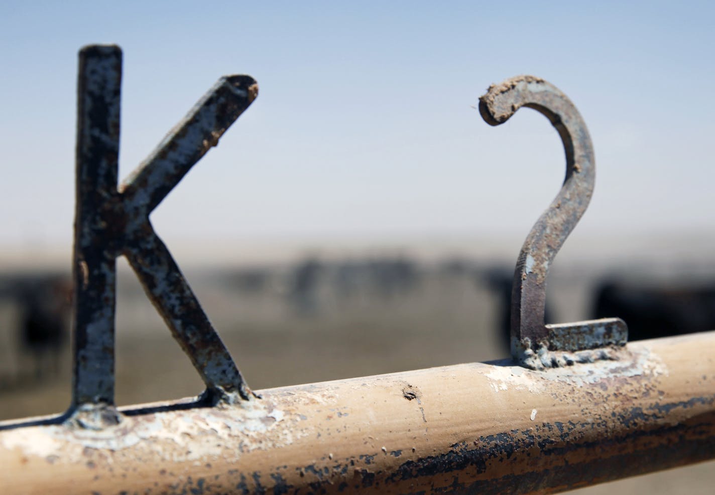 On April 30th, 2014 at the Cargill feedlot in Dalhart, Texas, a detail from one of the cattle pens.