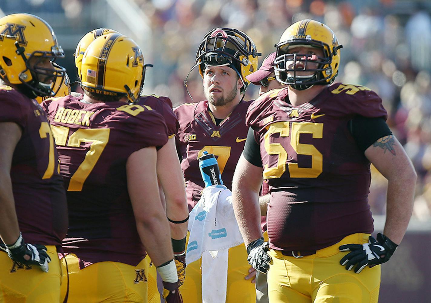 Minnesota's quarterback Mitch Leidner watched the screen as his run was challenged in the second quarter as the Gophers took on Ohio at TCF Bank Stadium, Saturday, September 26, 2015 in Minneapolis, MN.