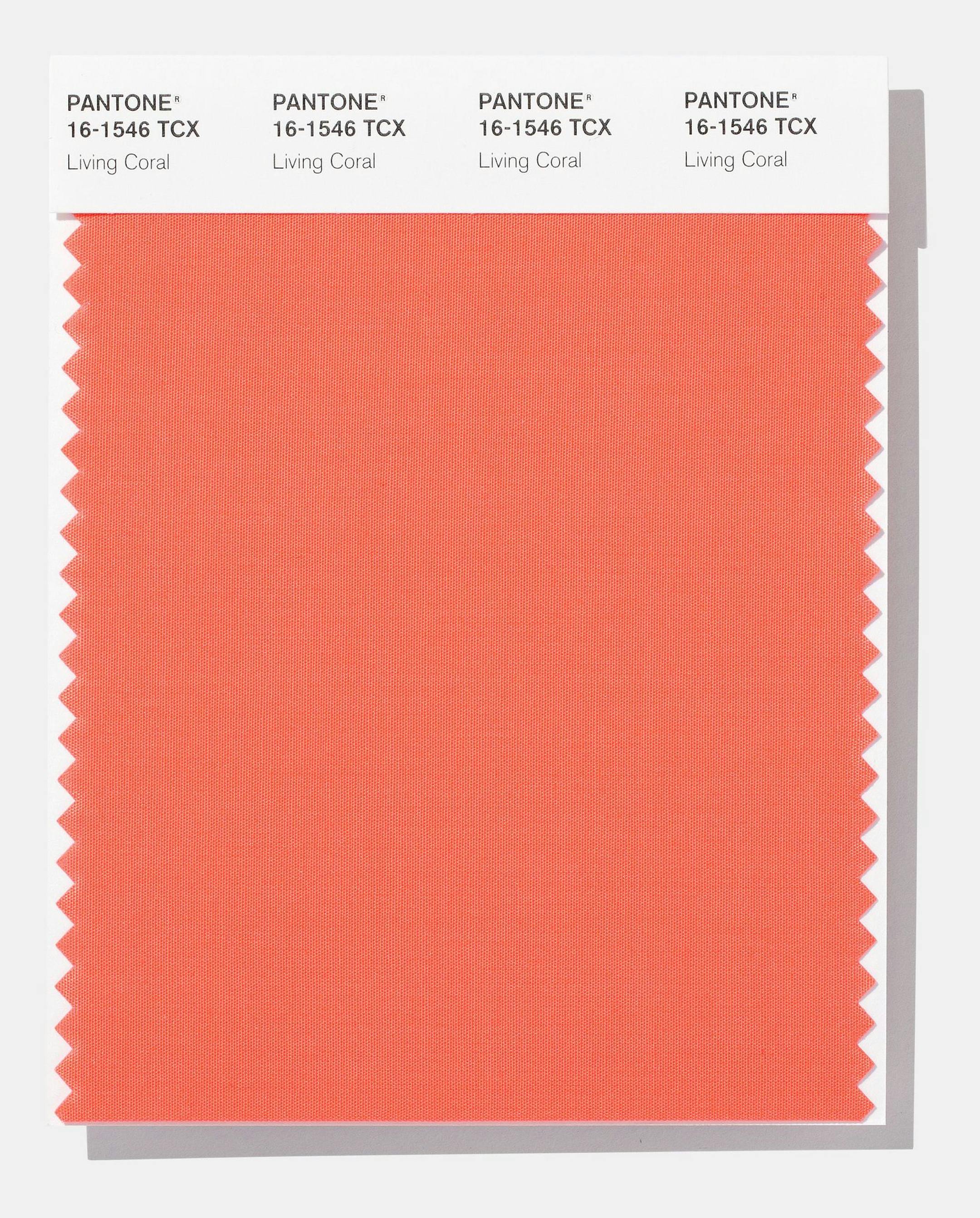 The Pantone Color Institute's 2019 color of the year - Living Coral.
