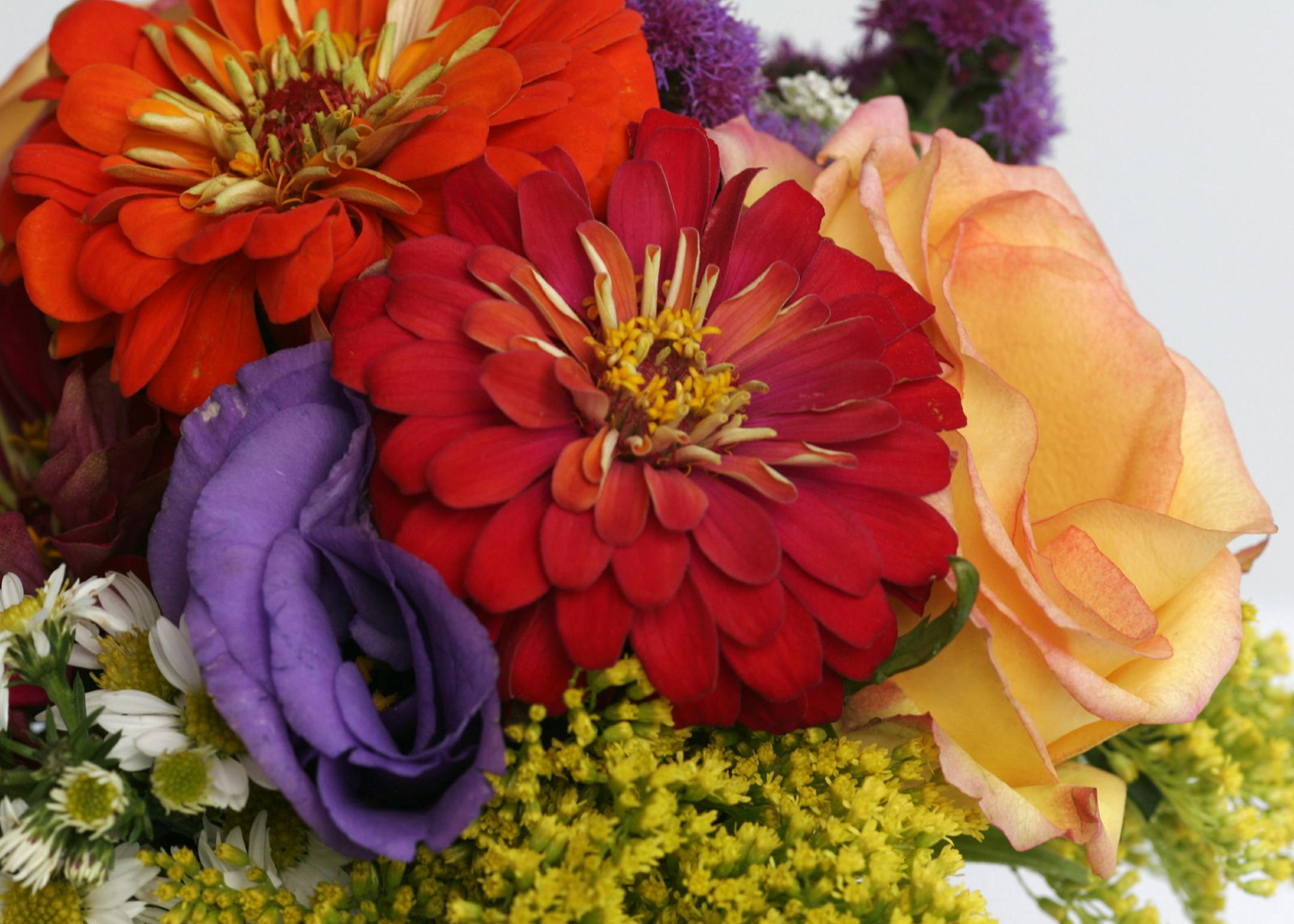Star Tribune photo/Tom Wallace Two florists create on-the-spot bouquets using cut garden flowers in an "Iron Chef"-style set. Steven Ward and Shannon Kowalkowski pick flowers from a variety of Farmers market fresh cut flowers and develop 2 bouquets on the spot and tell us what they were thinking as they worked. Illustration for the H&G cover story.