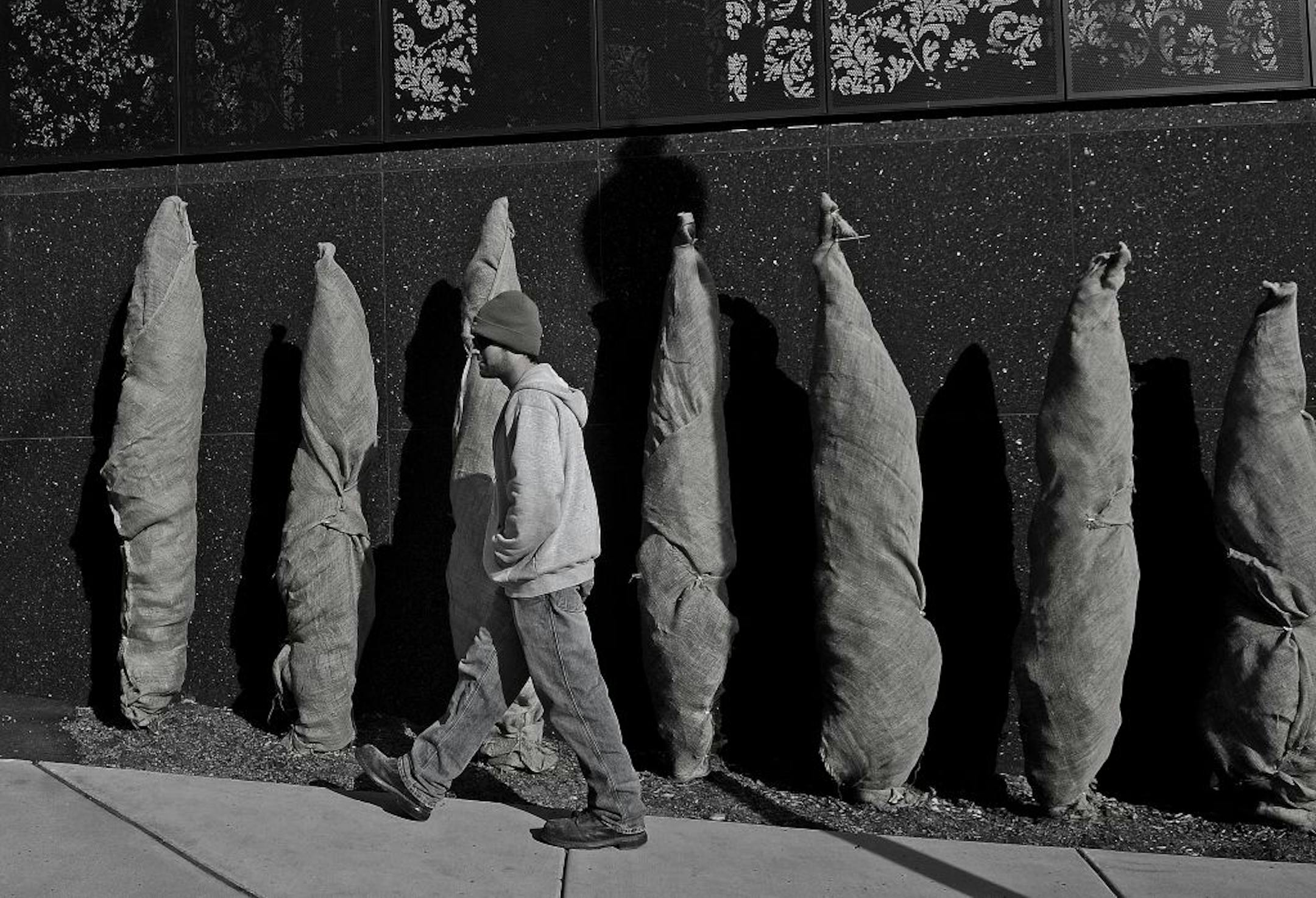 The sight of burlap-wrapped trees is common in Minnesota, but it's not the best way to protect evergreens from drying winter winds.