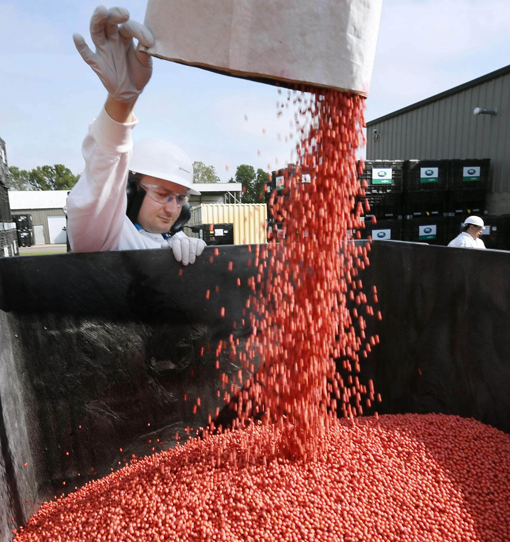 Christophe Lupfer, of Syngenta, supervised soybean seed treatment that protects the plants from pests.