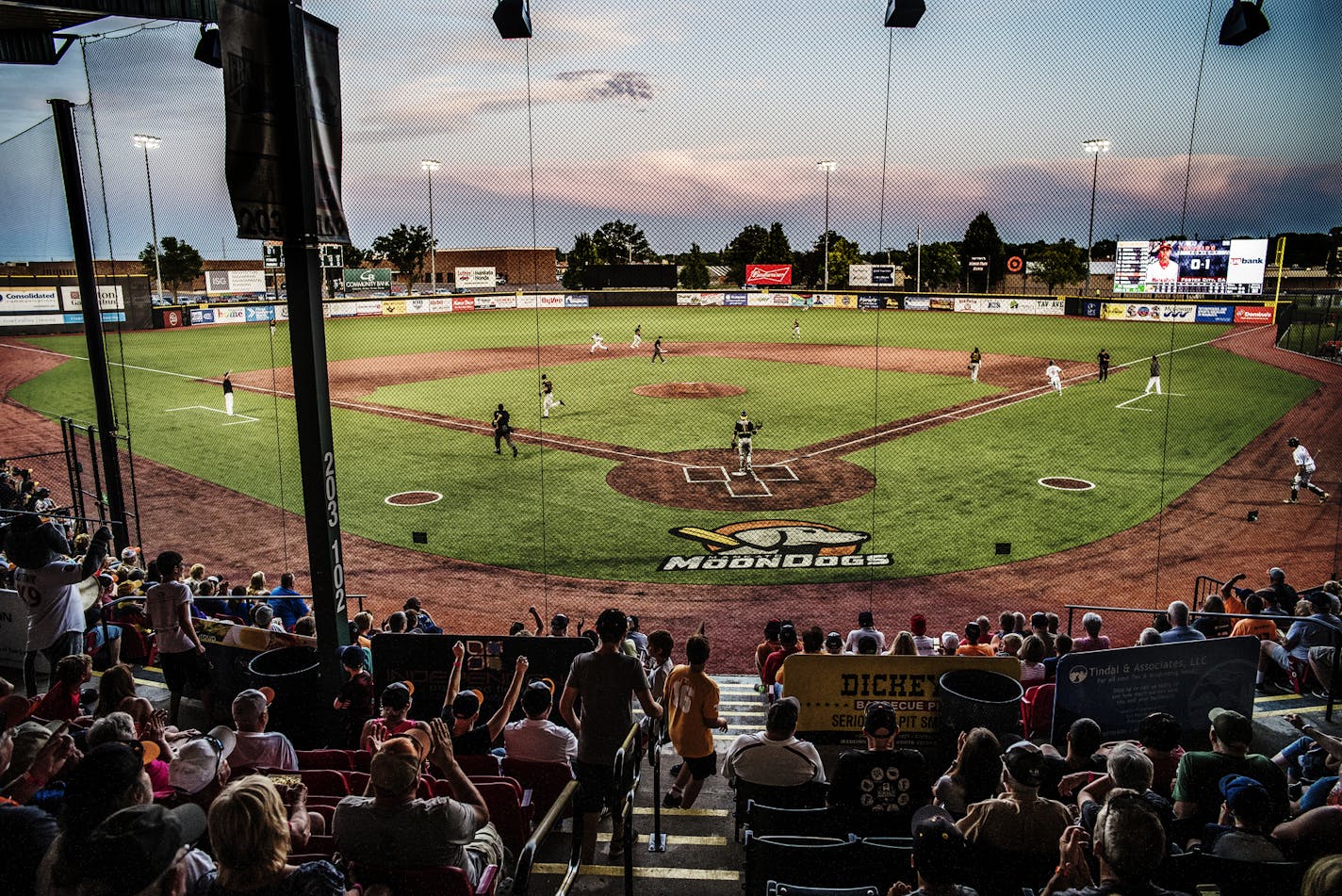 The MoonDogs look on the Willmar Stingers on a perfect night. Perks of the league include getting close to premier Division I college baseball players. ] Northwoods League, which has grown from five teams to 22 (and climbing) in this its 25th season. Mankato spent $3.1 million in public money to upgrade this ballpark. Richard Tsong-Taatarii&#xef;rtsongtaatarii@startribune.com