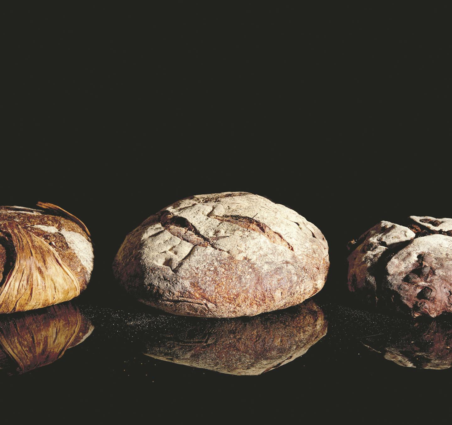 Loaves of bread from "Modernist Bread," the five-volume, 2,000-page cookbook by Nathan Myhrvold. The entire set has 1,200 bread recipes and costs $625.