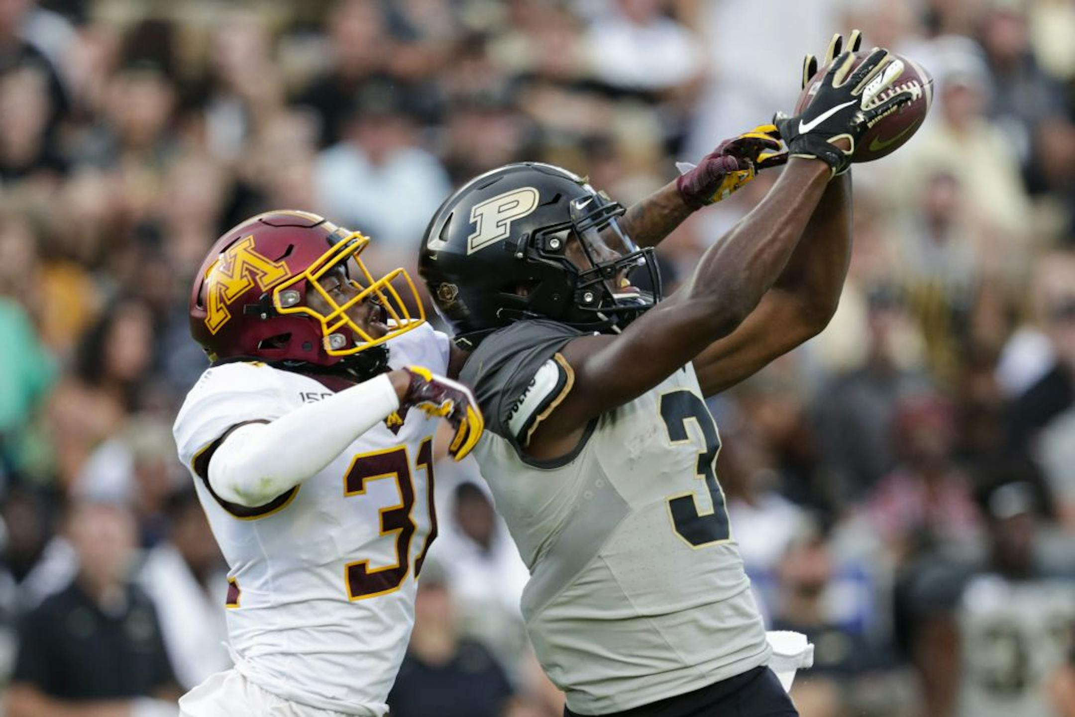 Purdue wide receiver David Bell (3) makes a catch in front of Minnesota defensive back Kiondre Thomas (31) during the second half of an NCAA college football game in West Lafayette, Ind., Saturday, Sept. 28, 2019. Minnesota defeated Purdue 38-31.