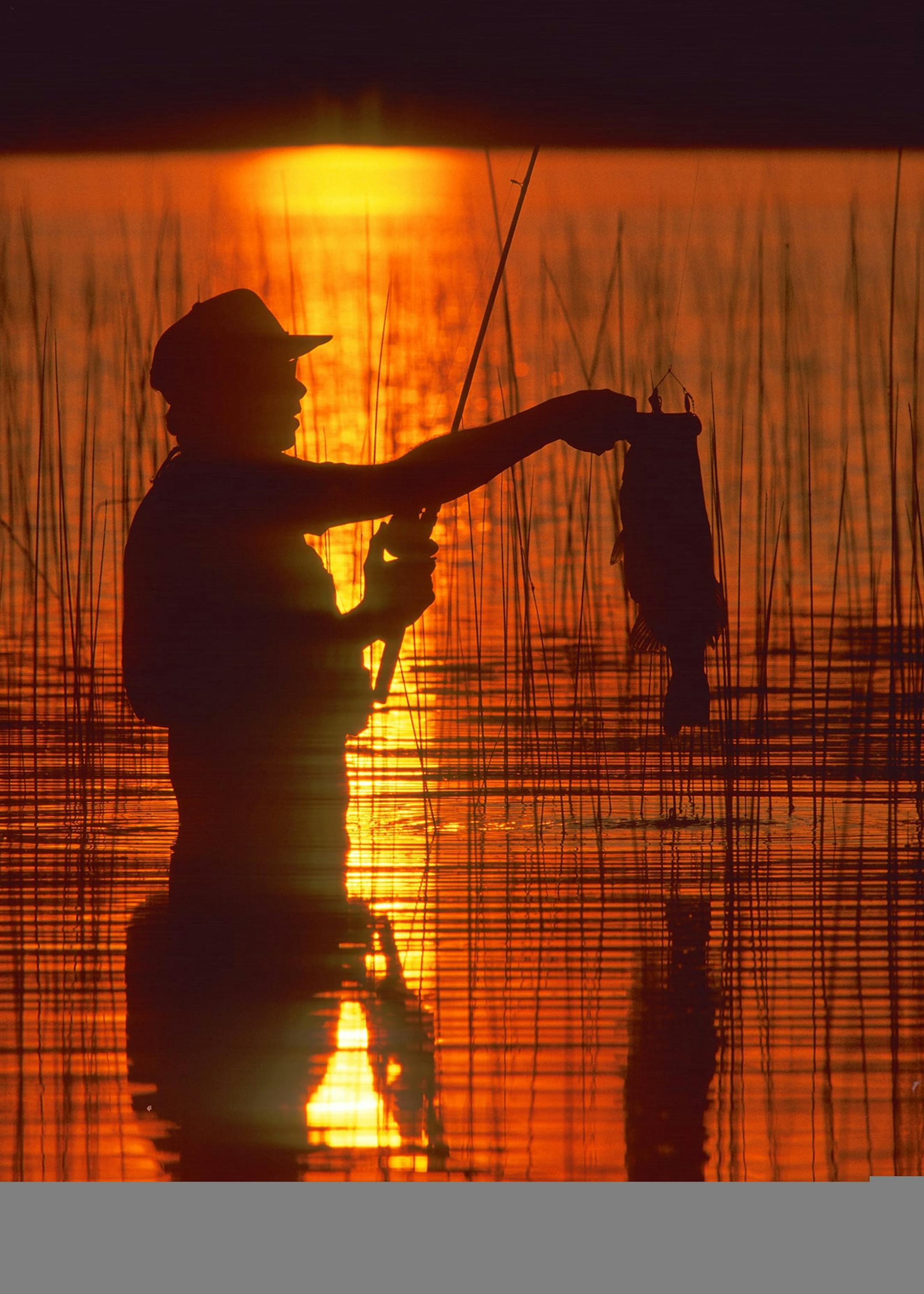 DO NOT USE! ONE-TIME USE WITH BILL MARCHEL COPY ONLY. Photo by Bill Marchel. Late afternoon is usually the best time for a wading angler since bass often move into shallow water to feed just before and just after sunset.