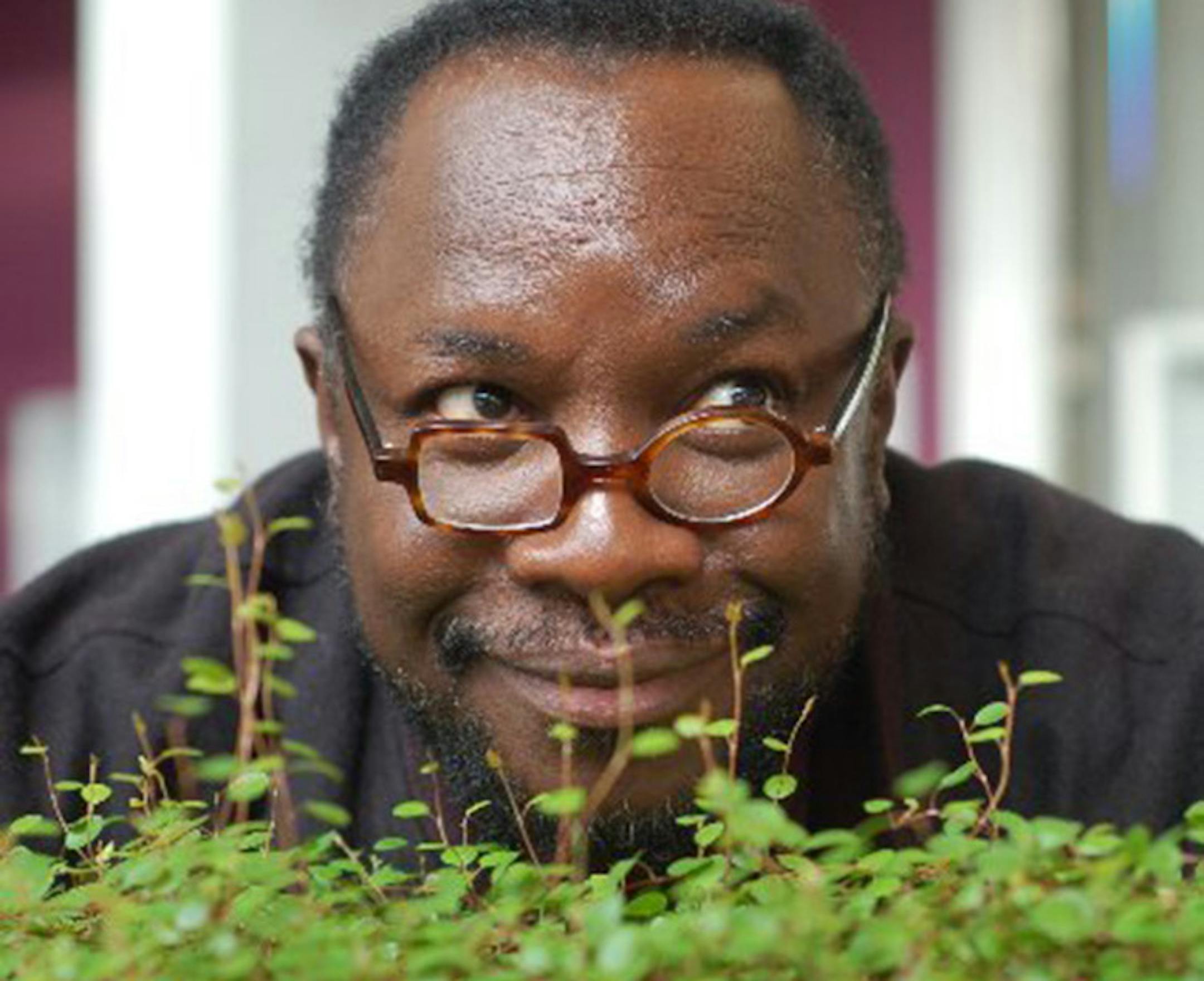 Provided photo Mad Professor.