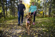 Chris Aepelbacher and Mary Krull walked along a trail in Duluth's Lester Park with Krull's dog, Laila. The engaged couple both bought homes to live ne