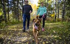 Chris Aepelbacher and Mary Krull walked along a trail in Duluth's Lester Park with Krull's dog, Laila. The engaged couple both bought homes to live ne