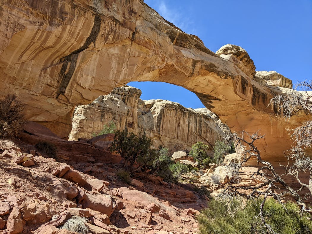 Hickman Bridge rises up over the trail at Capitol Reef National Park.