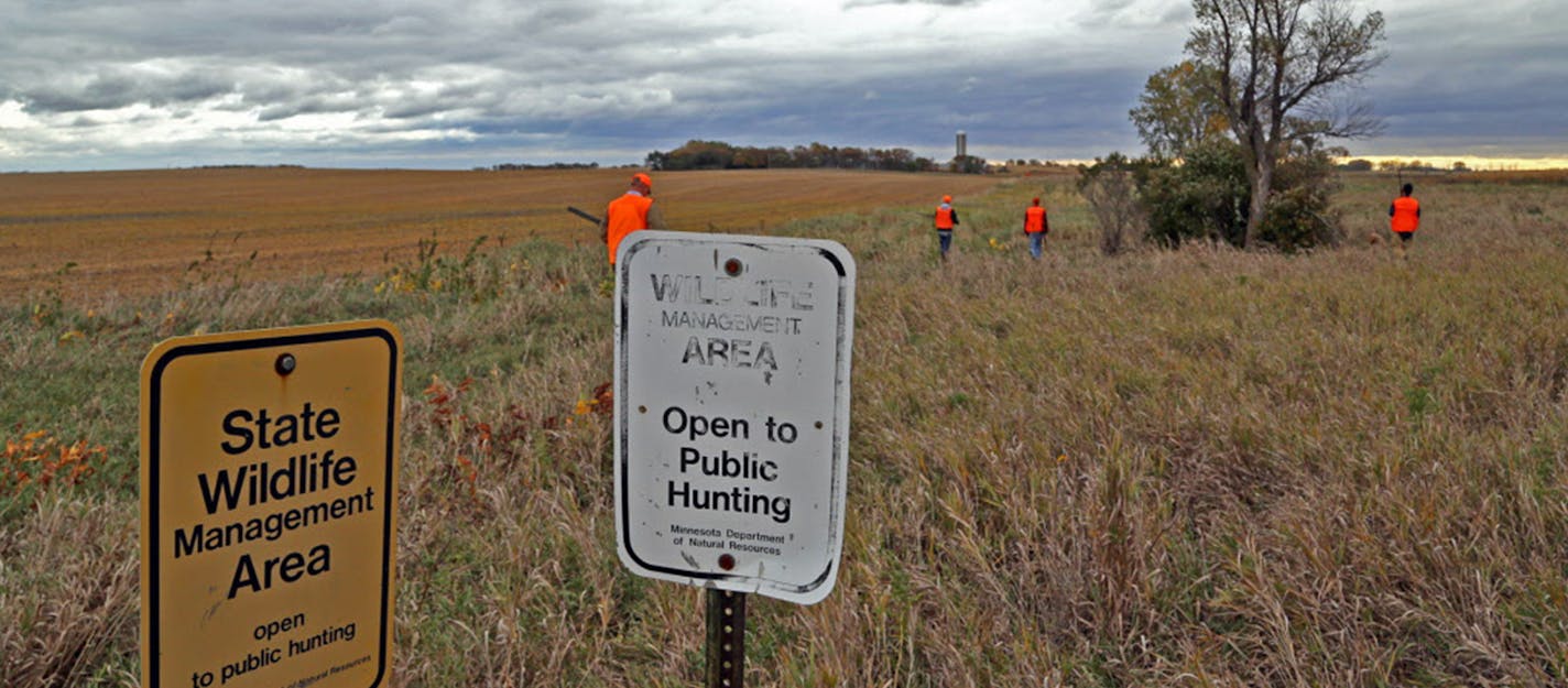 This scene will be repeated throughout Minnesota farm country when public lands provide a place for hunters to seek birds. ORG XMIT: MIN1310121237524996