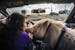 In Coon Rapids, Breeka Goodlander took her pig George to Petco get some treats and fresh air.