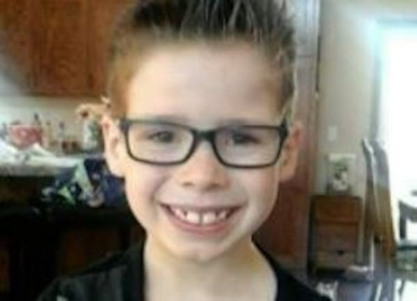 Alan Geisenkoetter Jr., 8, died late Wednesday of his injuries.