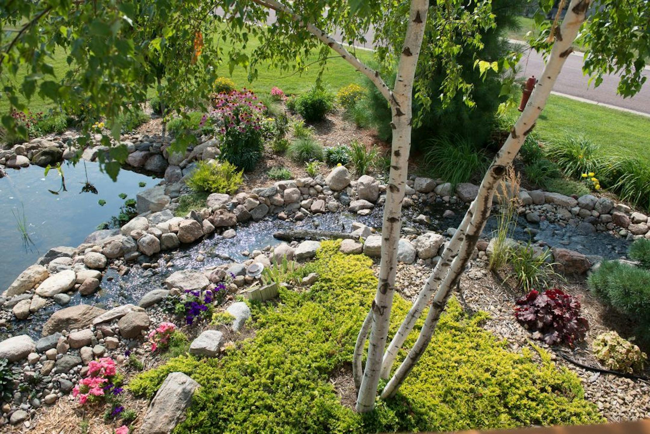 Dan and Nancy Engebretson's garden is in bloom in Elysian, Minnesota on July 31, 2014. [ Angela Jimenez/Special to the Star-Tribune angelajime@gmail.com Assignment #20035606A_ SLUG: ENGEBRETSON100114_ EXTRA INFORMATION: Since 2006, the Engebretsons have designed and tended to their own garden, and have transformed the common space near their home into a landscaped, shared garden space in the Lakeview Manor Townhome Association.