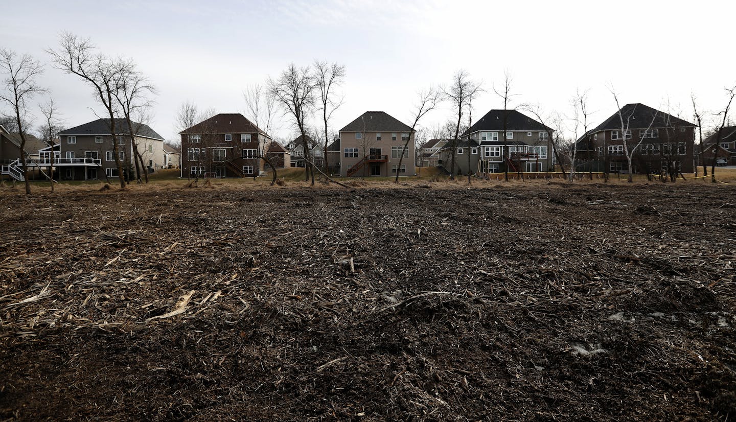 An area of trees were cleared on the edge of a wetland area in Blaine. ] CARLOS GONZALEZ &#xef; cgonzalez@startribune.com - February 27, 2017, Blaine, MN, Tensions are running high in a wealthy neighborhood in Blaine, where felled trees on the edge of a wetland have neighbors crying foul. Residents say they were given no notice before hundreds of trees started coming down on the edge of their properties last month. The city admits that communication with the neighborhood was lacking