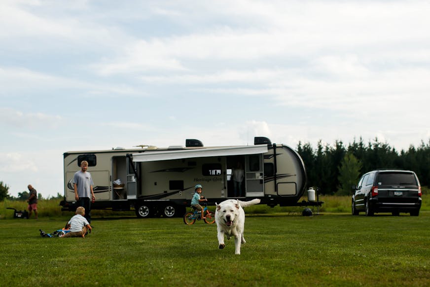 Midway Barker, the Enloe family's dog, runs down the field where they were camping as the family plays at the Enloe family's RV Sunday, August 4, 2019 the evening before they would leave for Iowa. ] NICOLE NERI &#xa5; nicole.neri@startribune.com