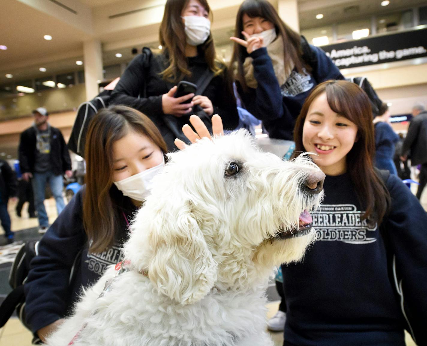 A group of Japanese cheerleaders visiting from Otemon Gakuin University paused to pet and take photos with Bailey, an 8 year old English golden Doodle therapy dog, part of the MSP Airport Foundations efforts. ] GLEN STUBBE &#x2022; glen.stubbe@startribune.com Thursday, January 11, 2018 The Metropolitan Airports Commission operates MSP but it's a little-known foundation that is the force behind many of the details that make it pleasant. The nonprofit Airport Foundation oversees the Minnesota-cent