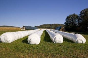 "Machine wrapped bales of hay against a blue summer sky, miles and miles of wrapped bales of hay on a ranch."