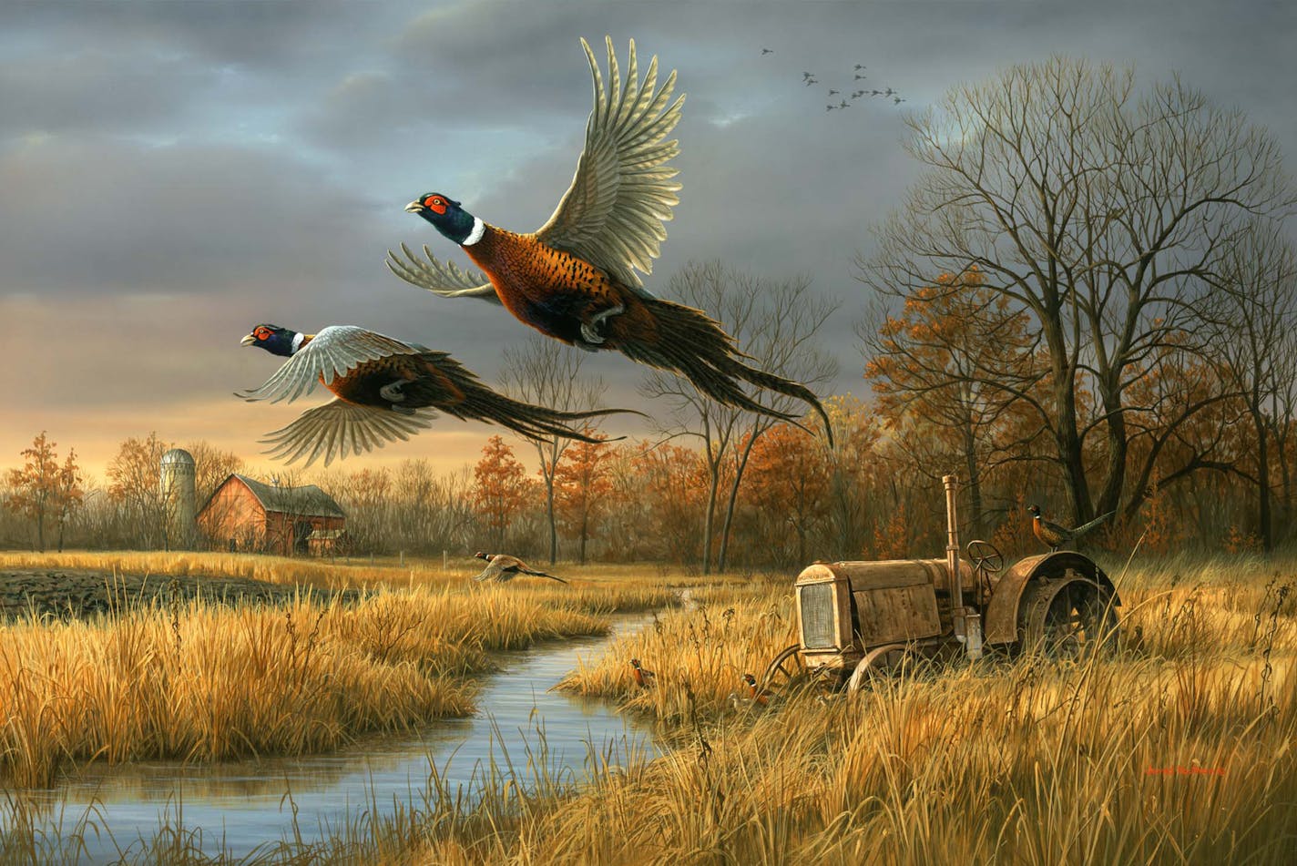 "Back Forty Pheasants'' by Twin Cities wildlife artist Jim Hautman illustrates a period now long past when shelterbelts, fencelines and abandoned farmsteads gave pheasants a place to nest, hide &#xf3; and survive. Jim Hautman has won the federal duck stamp contest five times.