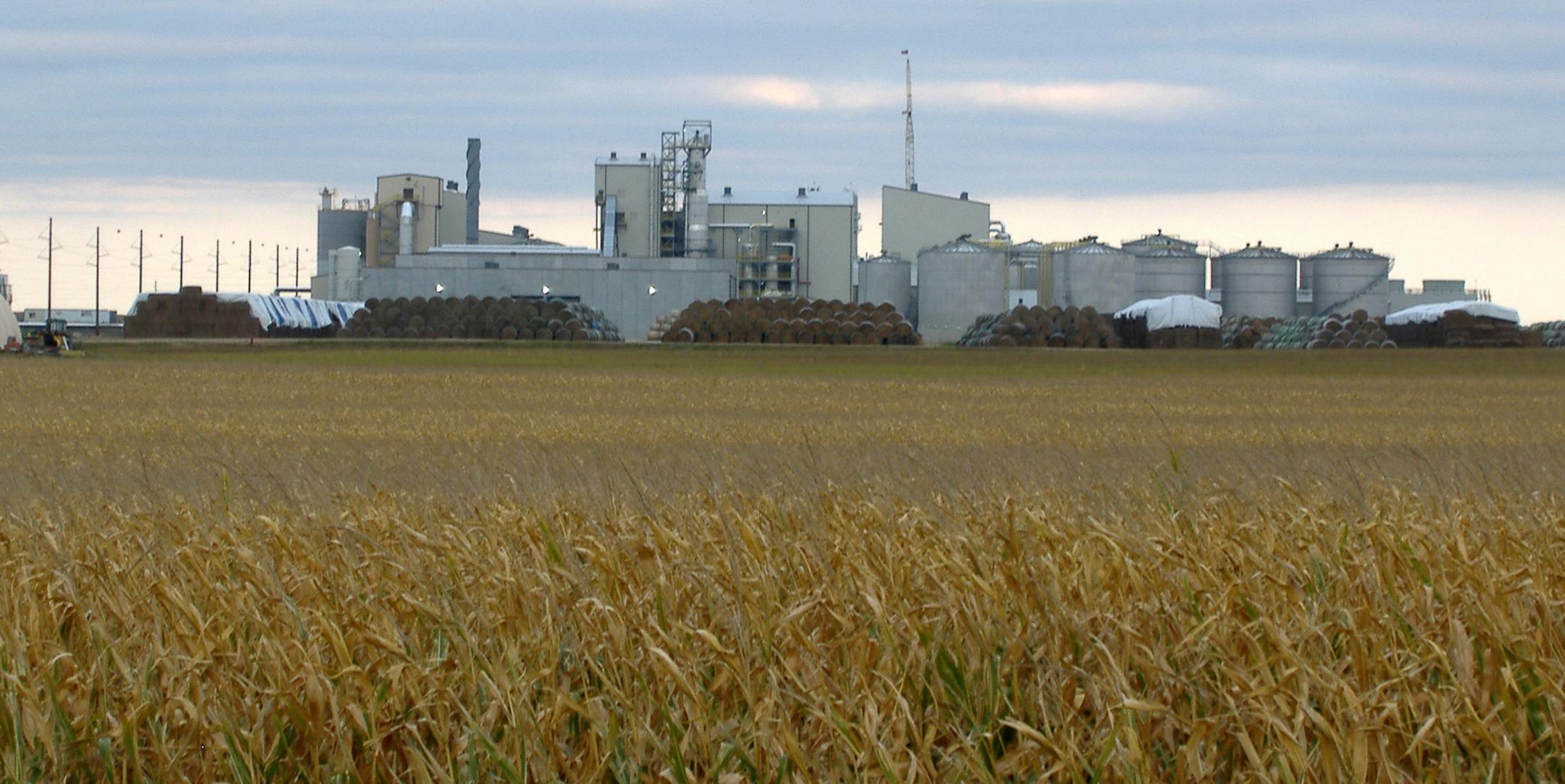 Ethanol producer Poet-DSM's new, $275 million cellulosic ethanol plant in Emmetsburg, Iowa, is partly surrounded by thousands of bales of corn cobs, husks and stalks that will feed it. The plant, which opened in September 2014, is the first large commercial ethanol refinery to produce fuel from inedible parts of the corn plant. The new plant is at right, immediately adjacent to an existing, corn-ethanol plant, left, owned by Poet Inc., the nation's second-largest ethanol maker. Poet and Royal DS
