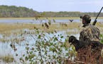 One-time use only. Longtime waterfowlers are convinced there are not as many ducks as we are lead to believe by the experts. Habitat loss is likely th