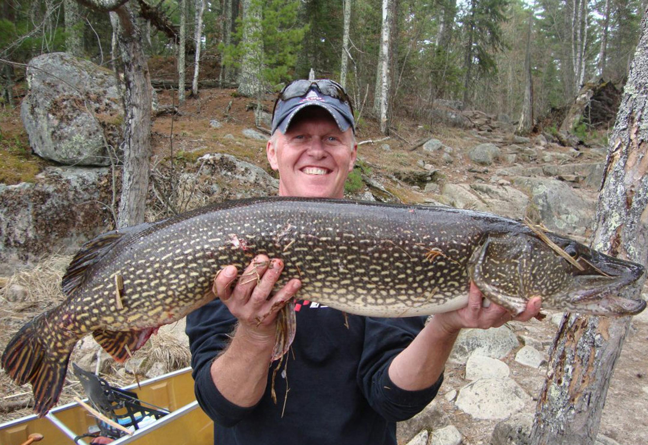 Wayne Ramaker, of Minnetonka Beach, caught this 42.5-inch northern pike in the BWCA