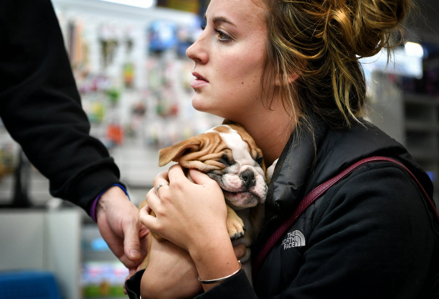 Sarah Johnson and John Larsen held a 2 1/2 month old bulldog at Roseville Pet Store in the HarMar Mall. ] GLEN STUBBE &#x2022; glen.stubbe@startribune.com Tuesday, March 14, 2017 Roseville as expected passed an ordinance late Monday forbidding pet sales from breeders in pet stores, a first for the state that was hailed by animal welfare activists. This pet store has traditionally sold pets from breeders. The pet store, which is the focus of a new Roseville ordinance banning sale of pets from bre