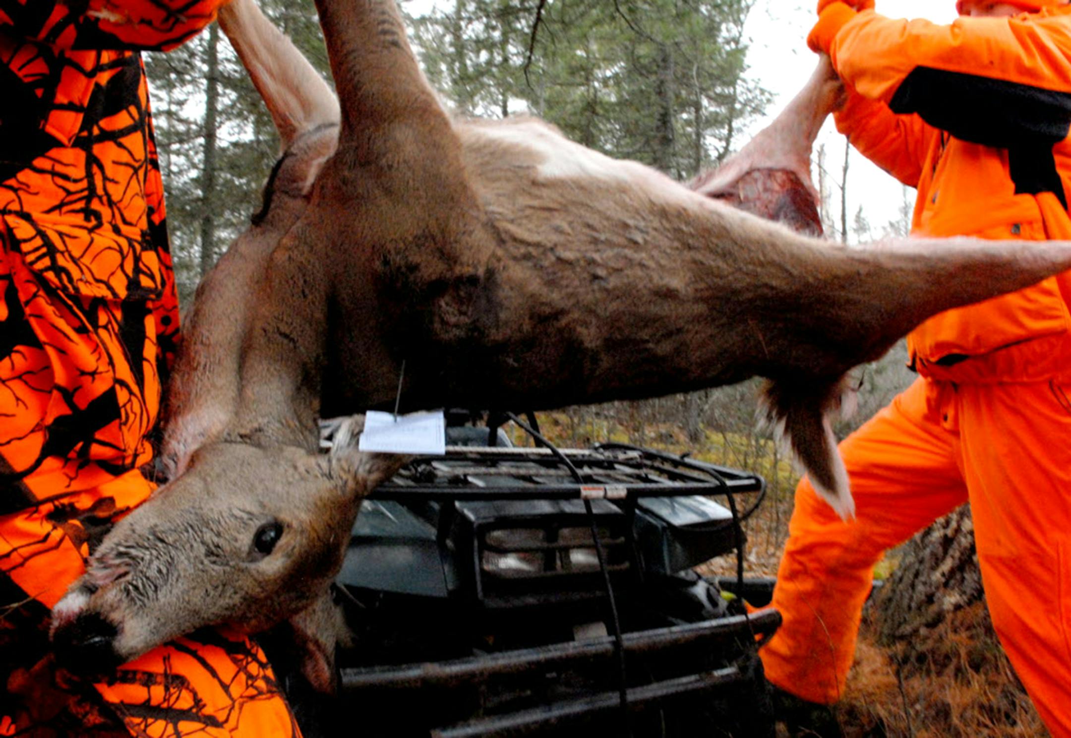 Hunters who vary the stands they use during deer season might have the best chance of leaving the woods with their quarry. ORG XMIT: MIN2017112214494929