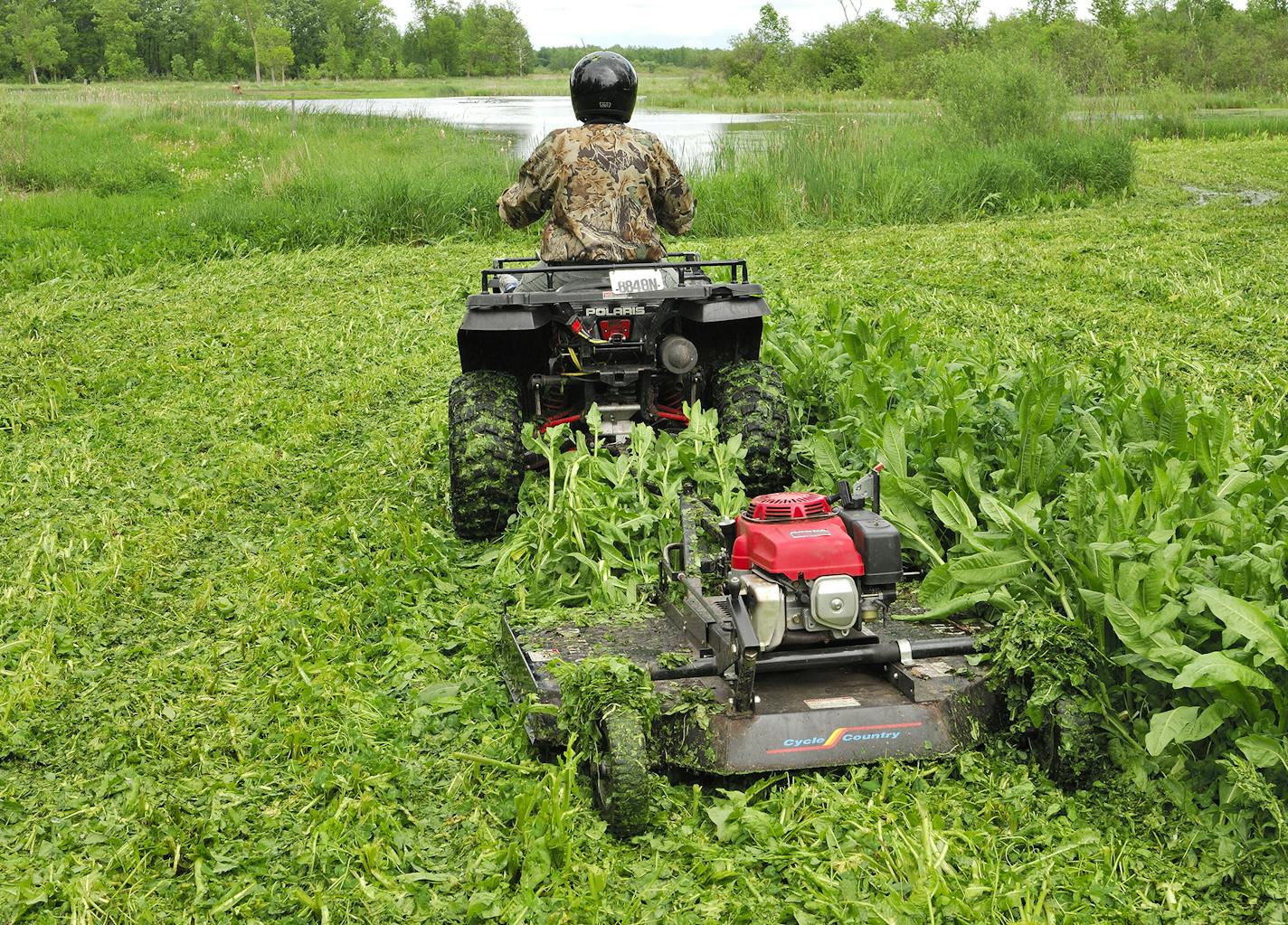 Marchel mows a wildlife food plot of chichory. For him implementing food plots has become a passion that goes far beyond attracting deer for the purpose of hunting.