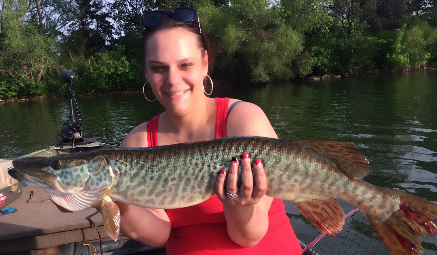 Large tiger muskie.