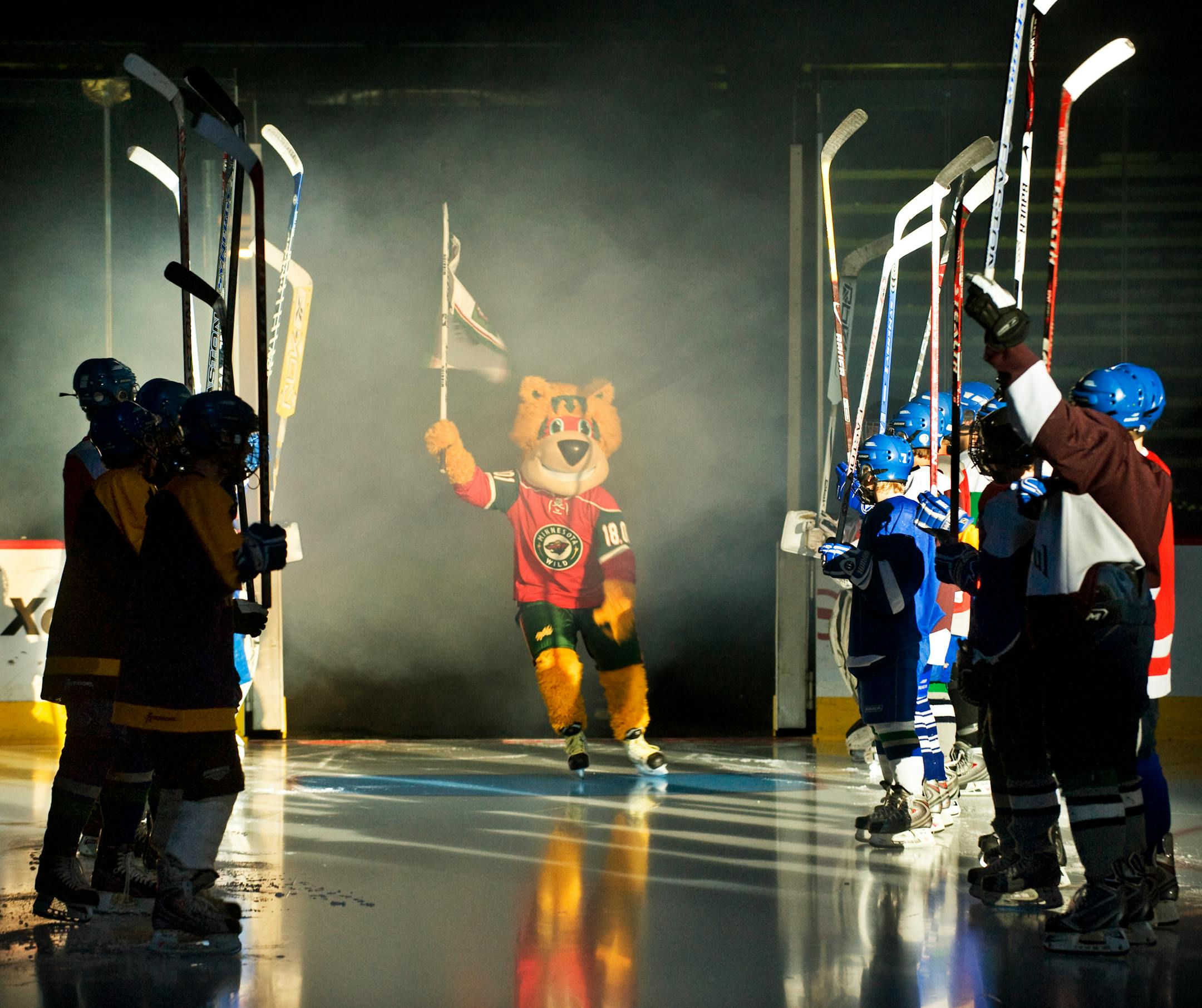 The National Hockey League's Minnesota Wild unveiled the team's first-ever mascot Sunday afternoon at a Wild Kids Club event in Xcel Energy Center. The mascots name, kept secret until the introduction at the event, is Nordy.