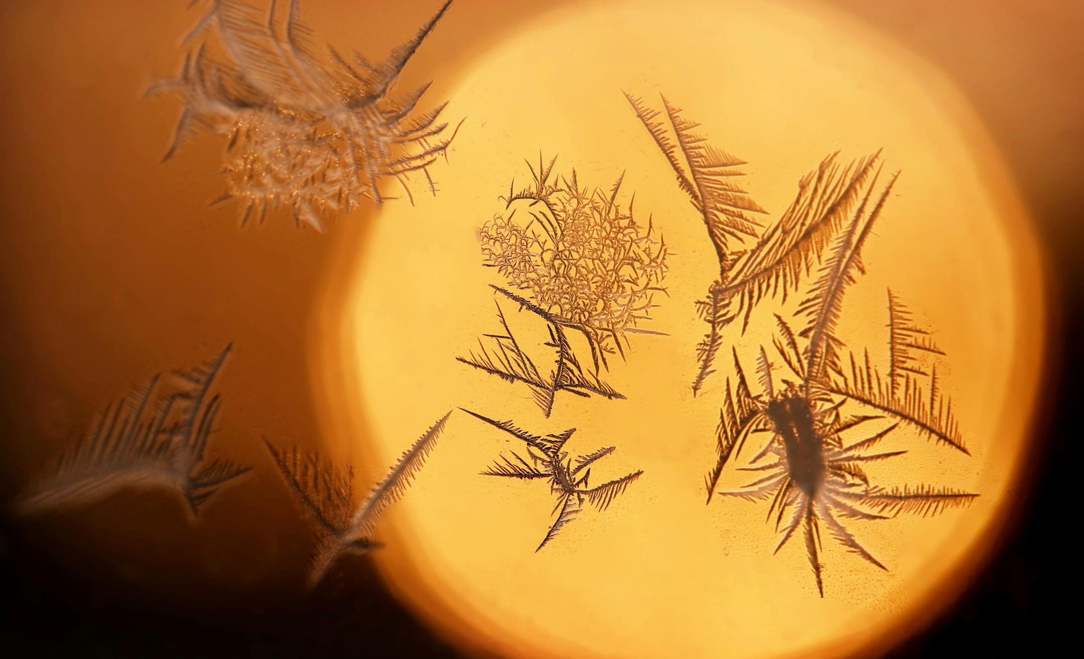 Resembling hummingbirds fluttering near a flower, frost on a cabin window at sunset reflects the beauty that can be found even in the dead of winter. ] Minnesota -State of Wonders, Arrowhead in Winter BRIAN PETERSON &#x2022; brian.peterson@startribune.com Grand Marais, MN 2/14/2014