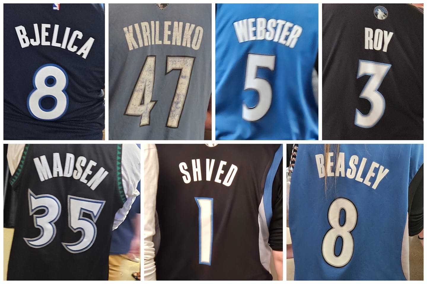 Nemanja Bjelica, Andrei Kirilenko, Martell Webster, Brandon Roy, Mark Madsen, Alexey Shved, Michael Beasley.