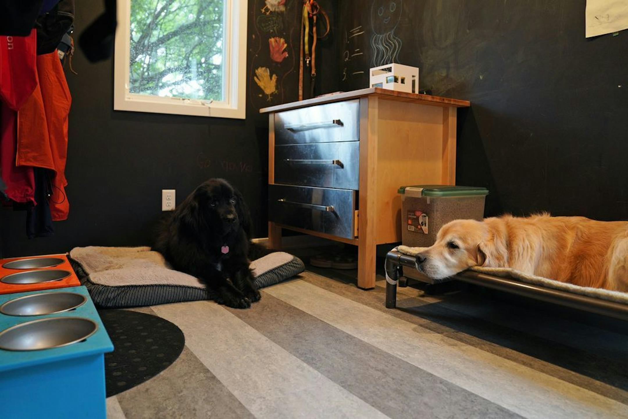 Pets Wednesday and Kevin in the mudroom/dog bedroom at their home in St. Louis Park.