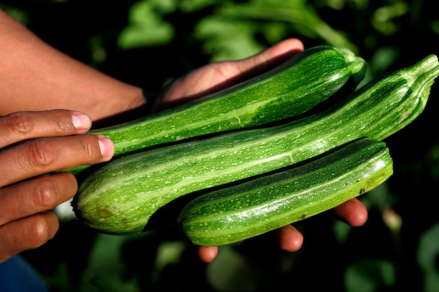 Got zukes? Try a new recipe for this versatile veggie.