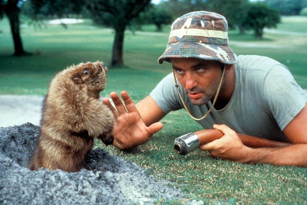 Bill Murray starred in the greatest movie of all-time, "Caddyshack."